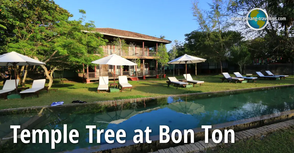 Temple Tree at Bon Ton