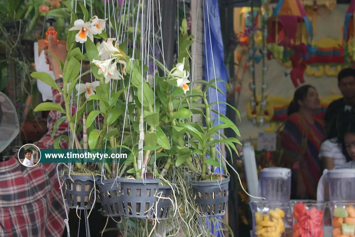 Chatuchak Weekend Market, Bangkok