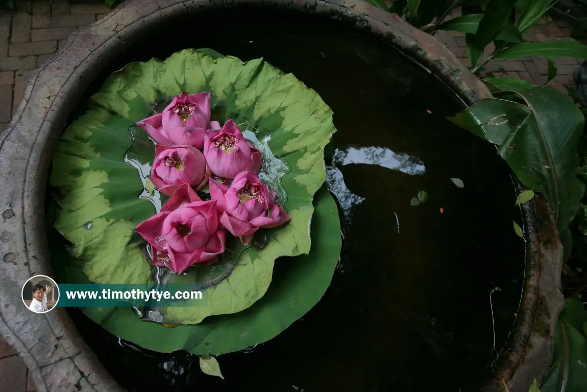 Jim Thompson House, Bangkok, Thailand