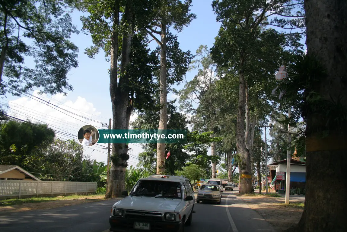 Chiang Mai-Lamphun Road, Thailand