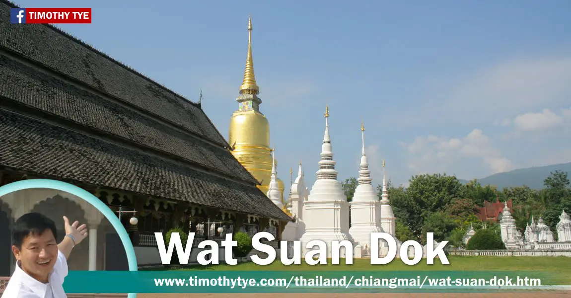 Wat Suan Dok, Chiang Mai