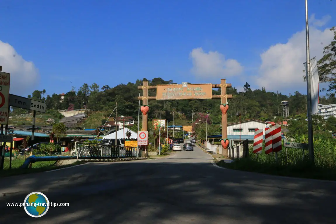 tempat menarik di Cameron Highlands